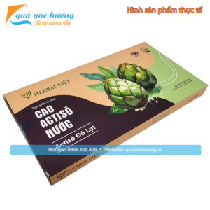 Combo 5 hộp ống Cao Actiso dạng nước uống HerBal Việt